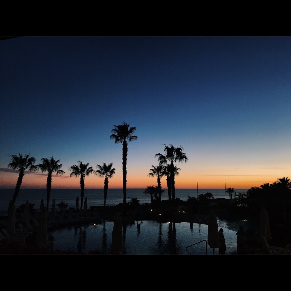 Meet your Posher, Jasmin